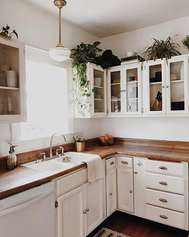 greenery above kitchen cabinets